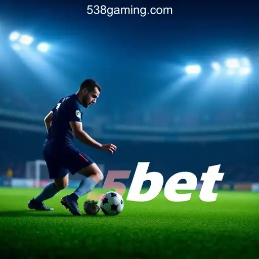 Understanding the User Agreement of 538bet A Plataforma de Apostas #1 do Brasil